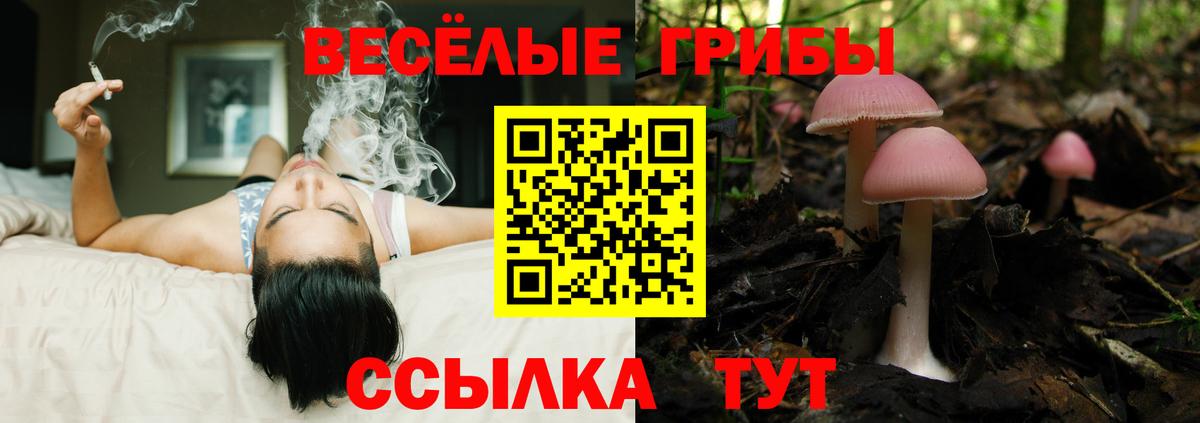 Унеча  Галлюциногенные грибы Magic Shrooms  Псилоцибиновые грибы мухоморы  Вход с VPN 
